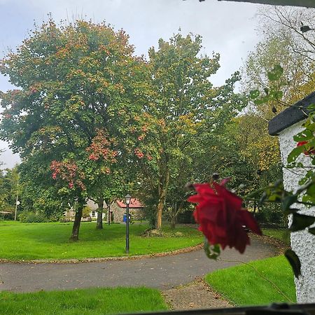 Longford Holiday Red Rose Self Catering Cottage 외부 사진