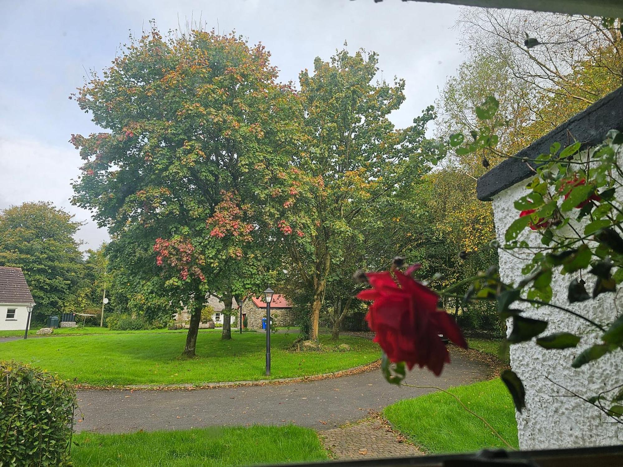 Longford Holiday Red Rose Self Catering Cottage 외부 사진